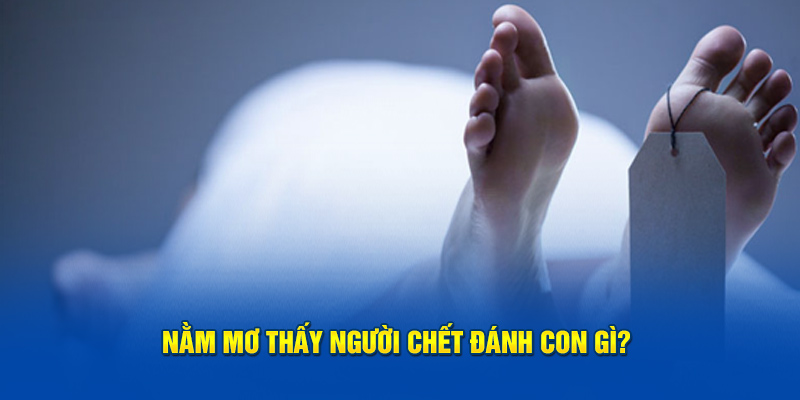 Nằm mơ thấy người chết đánh con gì