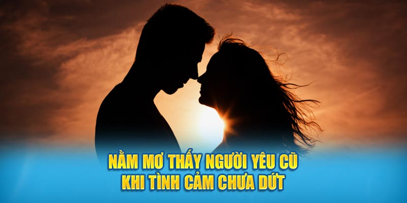 Nằm mơ thấy người yêu cũ khi tình cảm chưa dứt