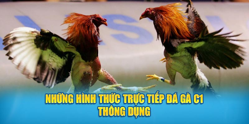 Những hình thức trực tiếp đá gà C1 thông dụng  